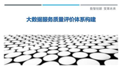 大数据服务质量评价体系构建-剖析洞察